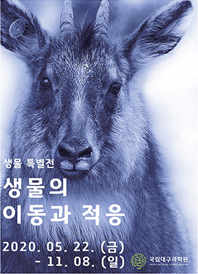 생물의 이동과 적응
